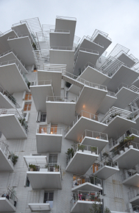 L&rsquo;Arbre Blanc, Sou&nbsp;Fujimoto