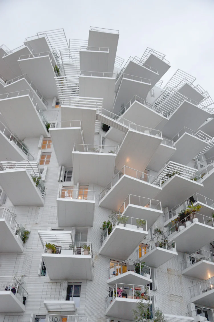 L’Arbre Blanc, Sou Fujimoto