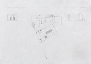 Cuboid Perspective