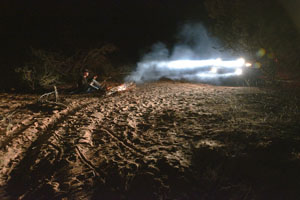 Campfire in a Sandy Forest